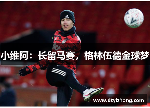 小维阿：长留马赛，格林伍德金球梦